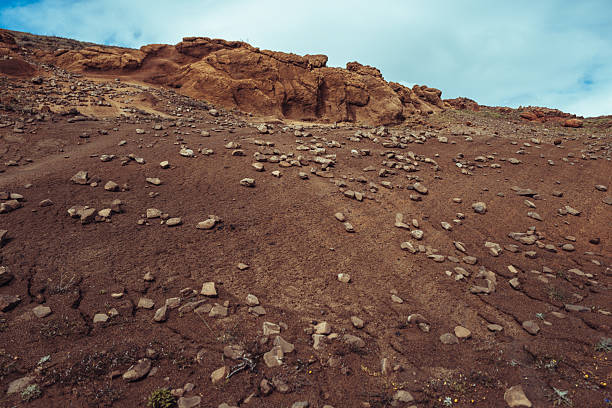 Arid volcanic terrain with scattered rocks and eroded formations under a bright sky in Tenerife, Canary Islands. The scene captures the raw, minimal beauty of the island’s desert-like environment.