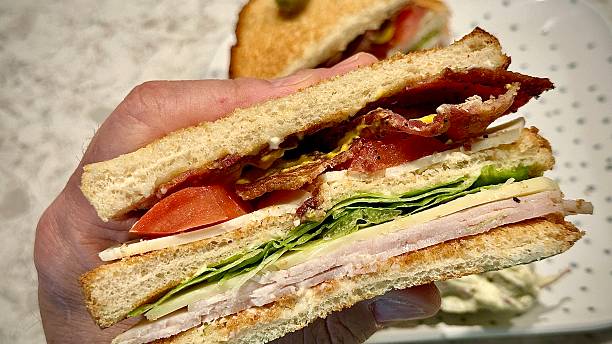 Big BLT club sandwich with macaroni salad and potato salad on a plate.