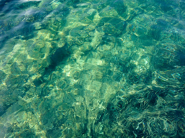 istock Sunlight reflecting through clear turquoise sea water over a rocky seabed 2242255990