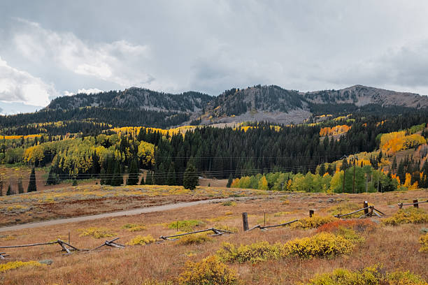 istock Rustic fence and dirt road in mountain meadow with fall aspen trees 2242259637
