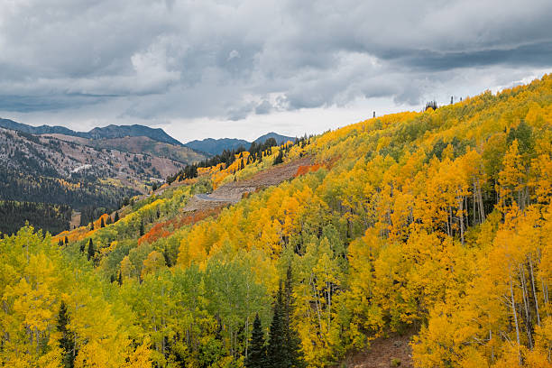istock Fall Utah mountain landscape with bright yellow aspen trees under cloudy sky 2242259653