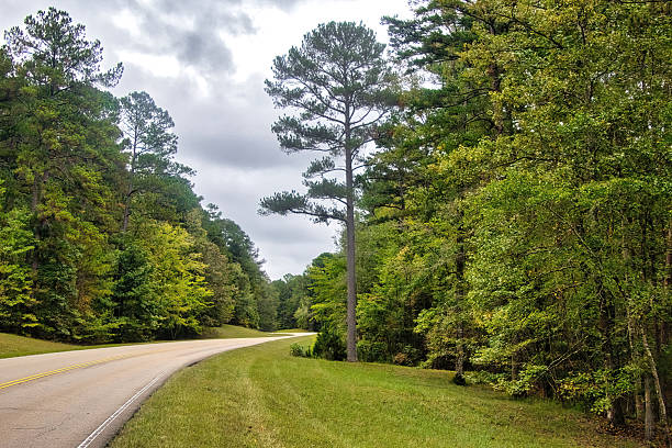 istock Natchez Trace Curving by Tall Pine 2242267885
