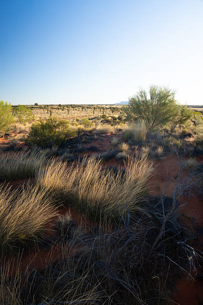 Alice Springs, Australia - 22nd September, 2017:Road through the township Alice Springs in the Northern Territory of Australia, viewed from Anzac Hill showing the arid outlying areas.