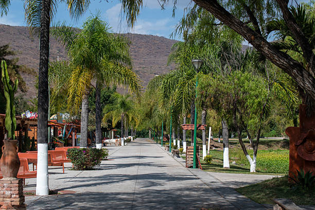istock Pedestrian walkway lined with palm trees in Jocotepec, Jalisco, Mexico 2242270043