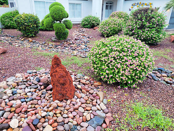 Phoenix, AZ - October 12, 2025: Desert style xeriscaped rock garden with Lantana shrubs and ornamental trees in warm Arizona autumn season