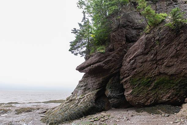 istock Rugged Coastal Cliff With Greenery Overlooking The Sea At A Pebble Beach 2242274691