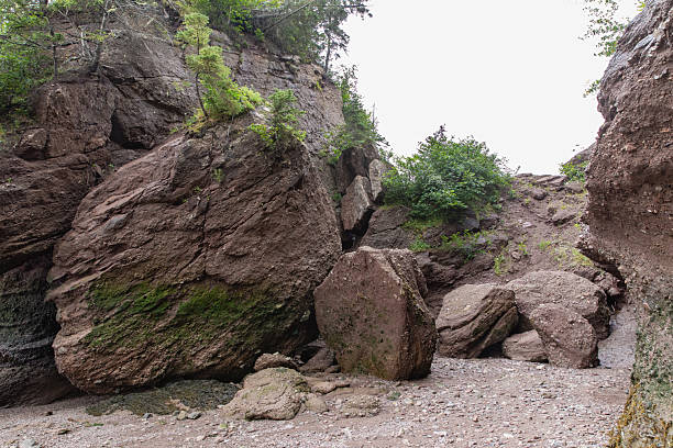A rugged rocky scene featuring large moss-covered boulders amidst trees, with a gravel path weaving through the terrain. Evokes nature, exploration, and rugged outdoor scenery suitable for nature imagery.