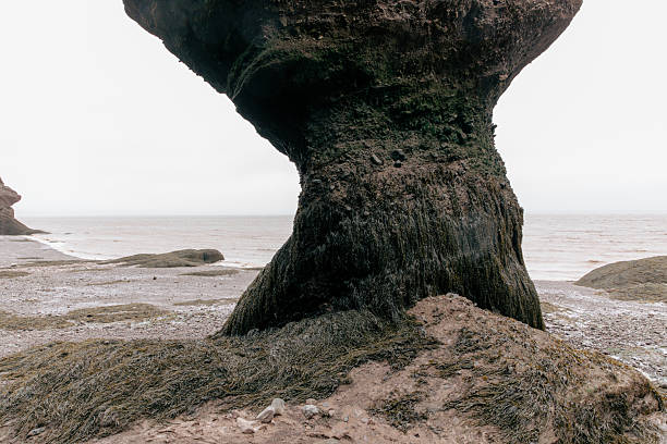 A rugged coastal rock formation rises from the sandy shore, with the sea and a soft, misty horizon in the background. Textures of moss and weathered rock add natural character, suitable for nature and landscape themes.
