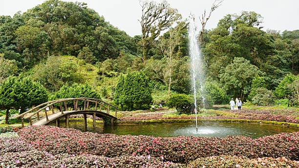 istock A Serene and Peaceful Garden Featuring a Beautiful Fountain Alongside a Charming Bridge Pathway Chiang Mai 2242276559
