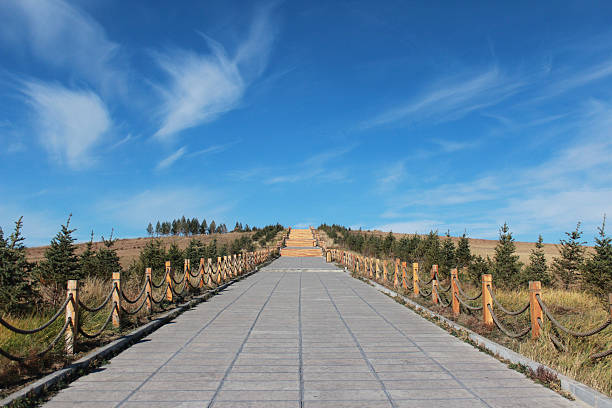 A long paved path extends to a scenic hill under a clear blue sky with some trees on both sides.