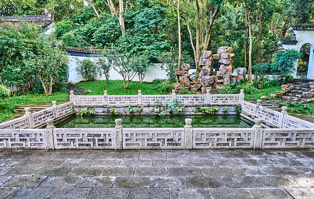 The pond in the Chinese garden