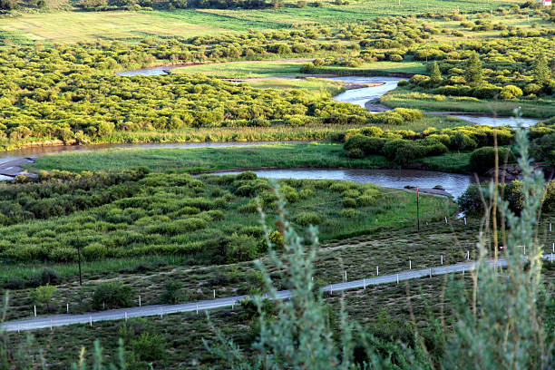 A scenic river winds through lush green meadows and dense vegetation, showcasing a natural and serene landscape.