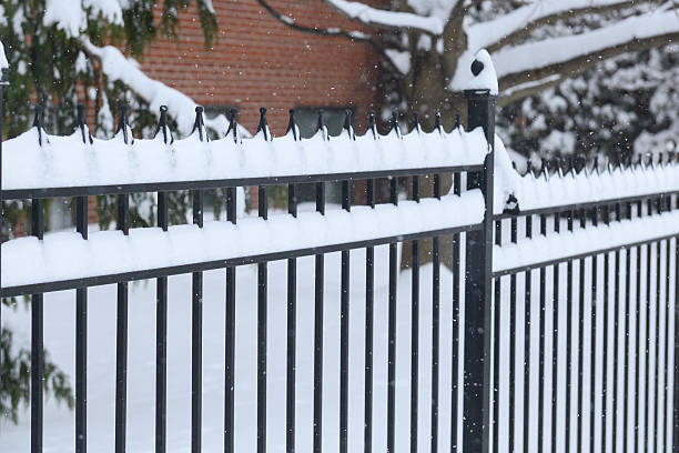 Snowy Black Fence Scene