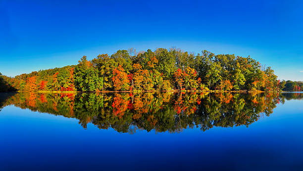 istock Colorful trees and lake view 2242279057
