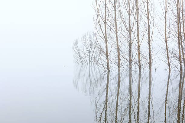 istock Early morning mist over the lake 2242281740