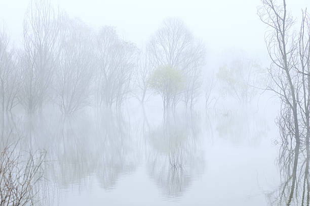 istock Early morning mist over the lake 2242281744