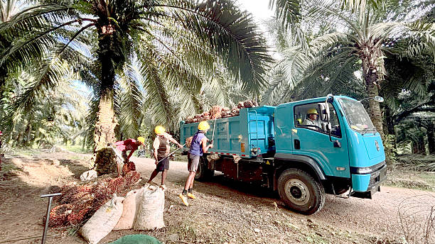 salvador, bahia, brazil - november 11, 2022: munck truck seen on a construction site in the city of Salvador.