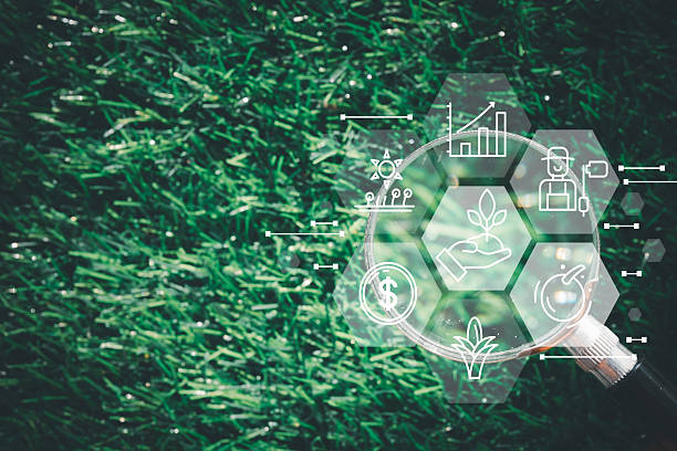istock AgriTech Analysis: Focus on Smart Farming, Growth, and Investment. 2242293148