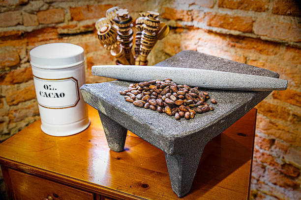 Pile of cocoa beans on stone antique manual rustic grinder.