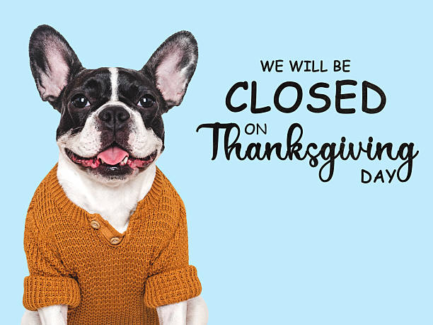 Signboard with the inscription We will be closed for the Holidays. Cute puppy and yellow autumn leaves. Closeup, indoors. Studio shot. Pets care concept