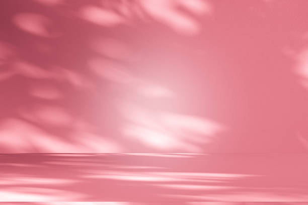 istock Wall interior background, studio, and backdrops show products. with shadow from window color white and pink light. background for text insertion and presentation of product 2242300052
