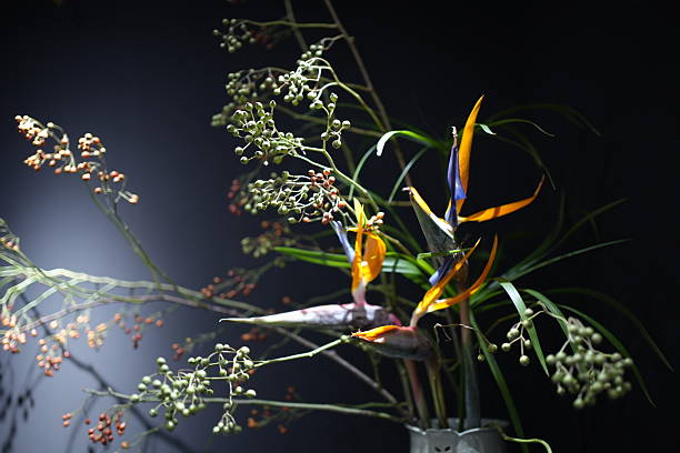 Floral art and light