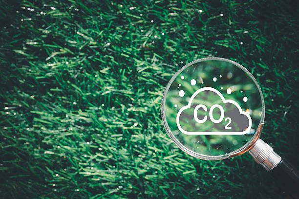 istock Carbon Footprint Analysis: Magnifier on CO2 Icon over Green Grass 2242305878