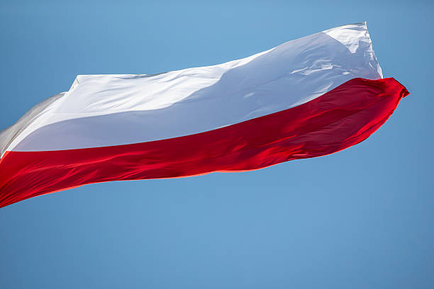 istock Polish flag fluttering in the wind 2242307118