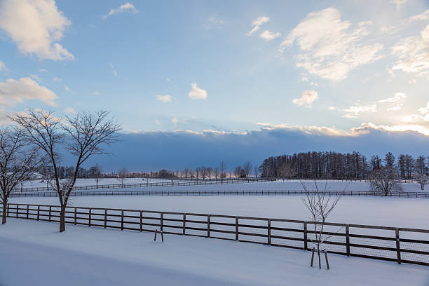 istock Winter Farm scenery in Hokkaido 2242309212