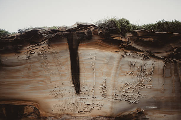 Sandstone rock formation at La Perouse in Sydney Australia Bare beach Botany Bay