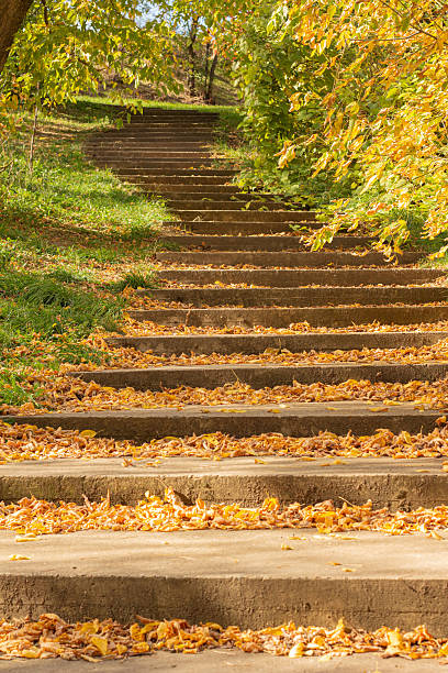 istock concrete stairs, covered with leaves in autumn 2242311663