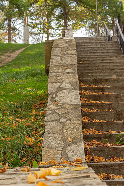 Concrete stairs covered with leaves in autumn