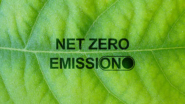 istock Reduce Your Carbon Footprint. Reduce CO2 emission concept. Net zero carbon emissions 2242313272