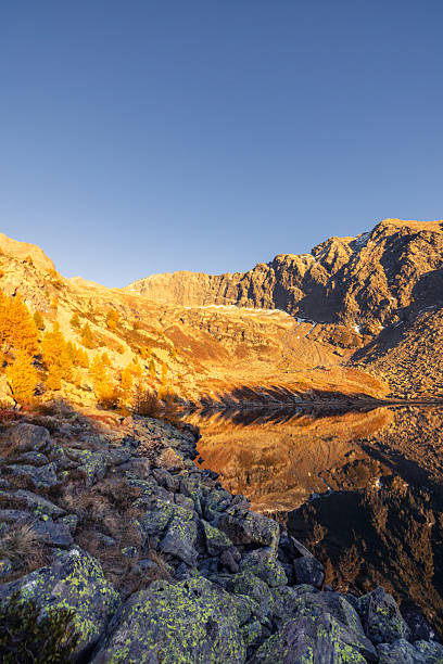 Golden autumn trees and rugged mountain peaks reflected in a calm lake at sunset. Scenic mountain landscape with clear water and warm sunlight. Nature and outdoor scenery.