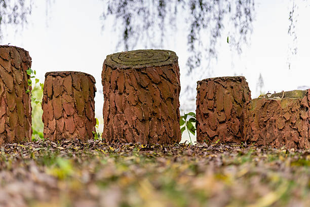 Artificial tree stumps in a roadside park