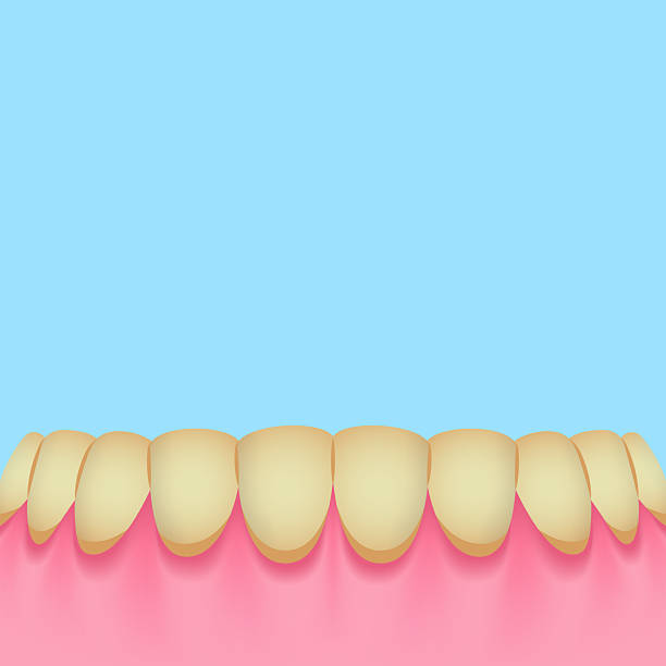 istock Lower teeth (Brown) - Text box sign blank banner (square) illustration vector design. Dental care concept. 2242317206