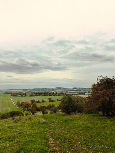 istock Rolling hillside with autumn trees in England countryside 2242318115