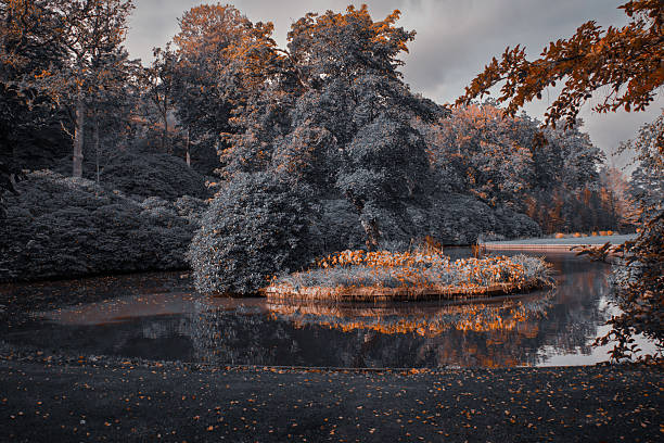 Beautiful autumn park with calm lake and colorful trees in soft moody tones.