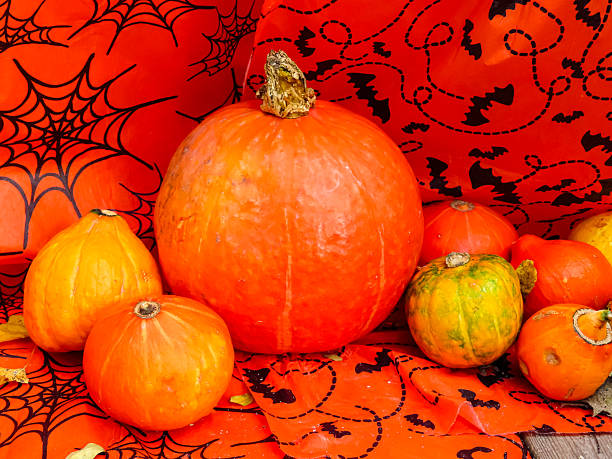 Assorted colorful pumpkins and gourds on red Halloween-themed fabric with spiderweb and bat patterns.