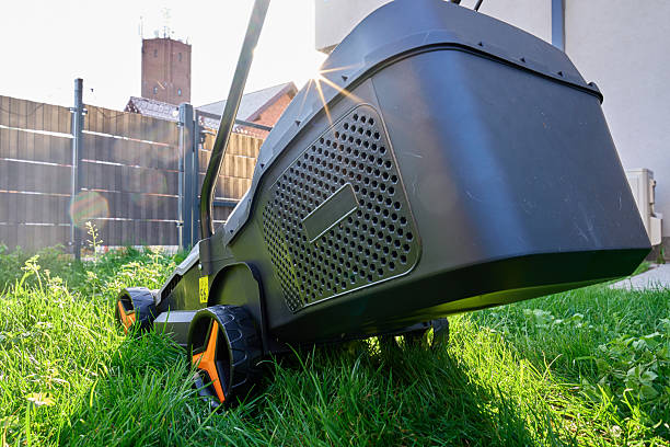 istock Electric lawn mower cutting grass in backyard 2242328706