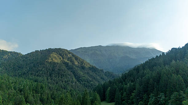 istock Mountainous Forest Landscape with Dense Vegetation View 2242329817