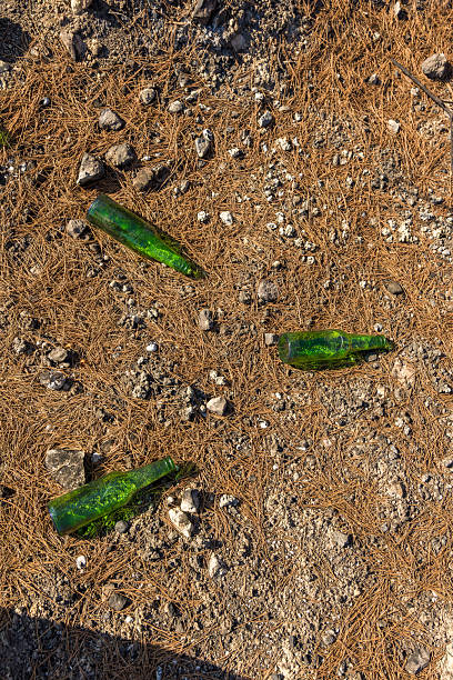 istock Empty green glass bottles litter the dry forest ground, highlighting environmental pollution and the human impact on nature 2242329916