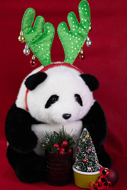 istock Christmas celebration , Panda plush Doll and Christmas Tree 2242330226