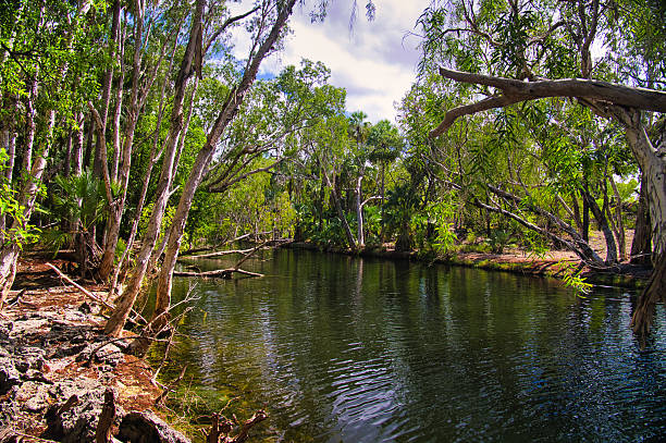 istock River flowing through a tropical forest in northern Australia 2242331165