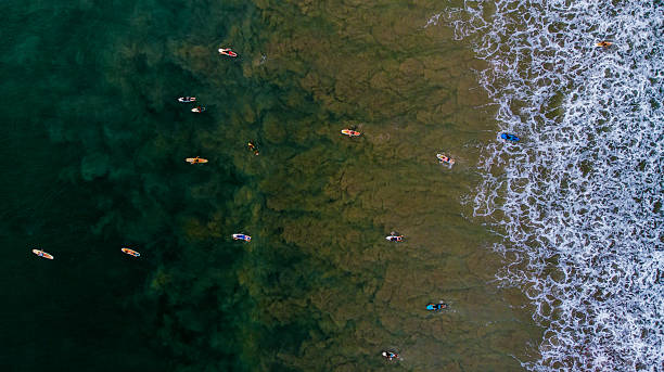 istock Aerial View Hikkaduwa Beach Water Surface Wave texture and Sufring 2242333352
