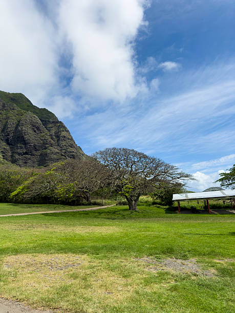 istock Scene of Hawaii 2242341464