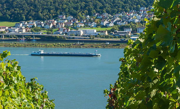 istock Vineyard View Freight Ship on River Rhine Germany 2242345087