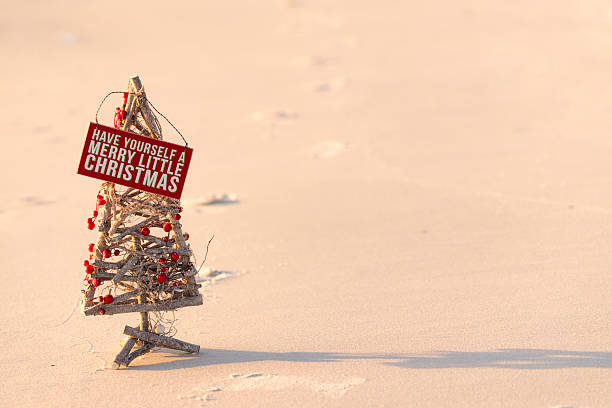 Driftwood Christmas tree on a beach in Australia