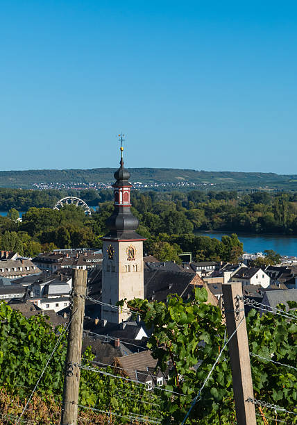 istock View through Vines to Church Tower Ruedesheim Germany 2242345149
