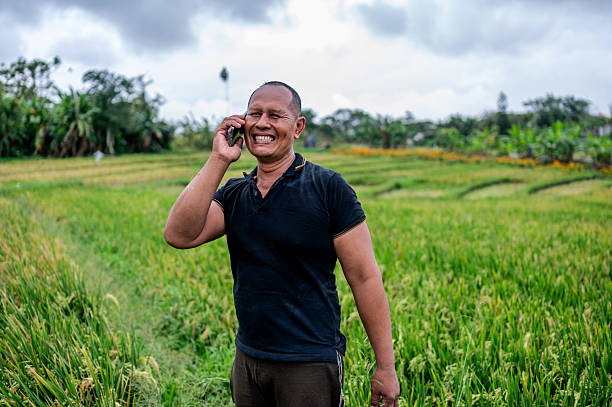 Smiling Man In Black Shirt Talks On Smart Phone During Harvest
